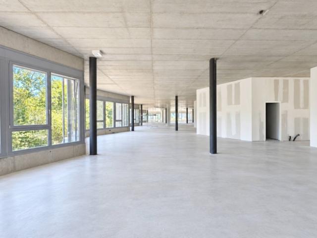 Wohnung mieten in Lausanne, District de Lausanne