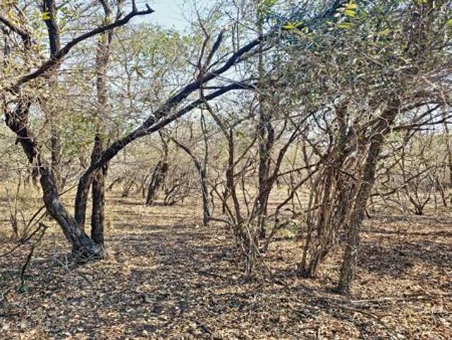 Property for sale in Ehlanzeni, Mpumalanga