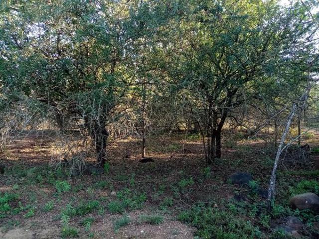 Property for sale in Ehlanzeni, Mpumalanga