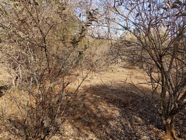 Property for sale in Ehlanzeni, Mpumalanga