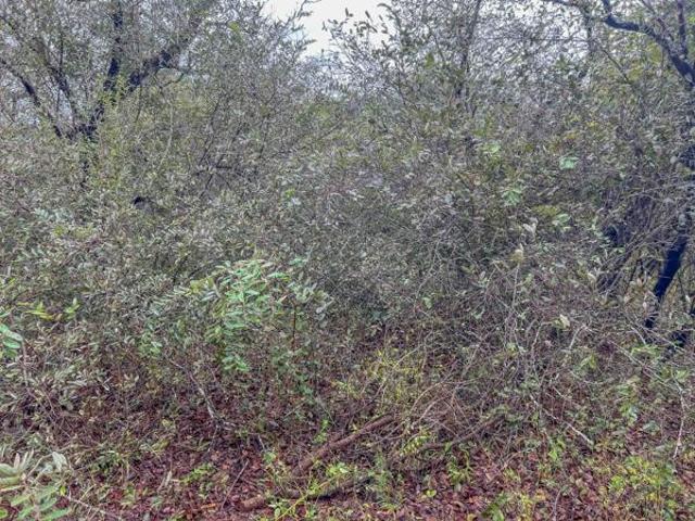 Property for sale in Ehlanzeni, Mpumalanga