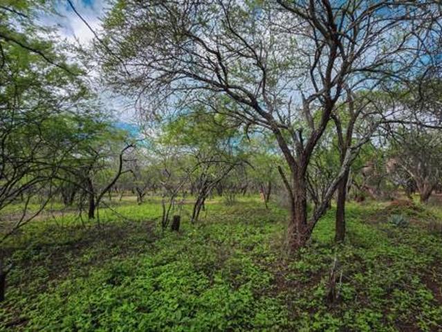 Property for sale in Ehlanzeni, Mpumalanga