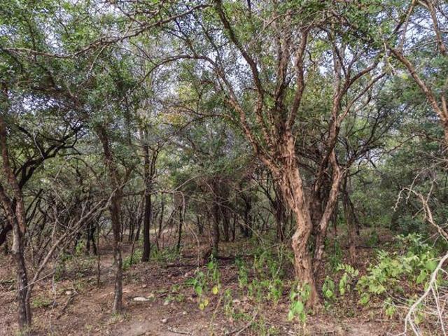 Property for sale in Ehlanzeni, Mpumalanga