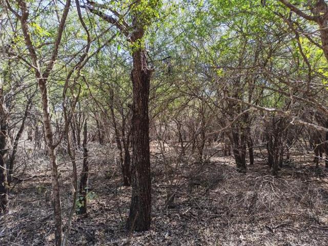 Property for sale in Ehlanzeni, Mpumalanga