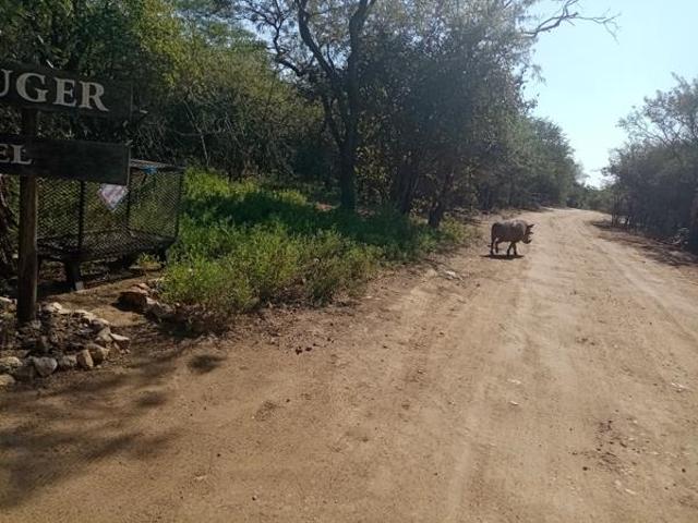 Property for sale in Ehlanzeni, Mpumalanga