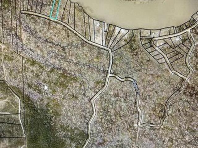 Land for sale in Surrency, Appling County