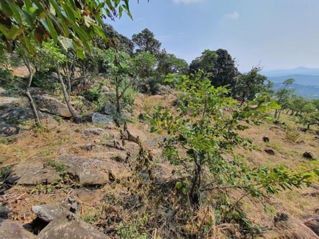 Property for sale in Ehlanzeni, Mpumalanga