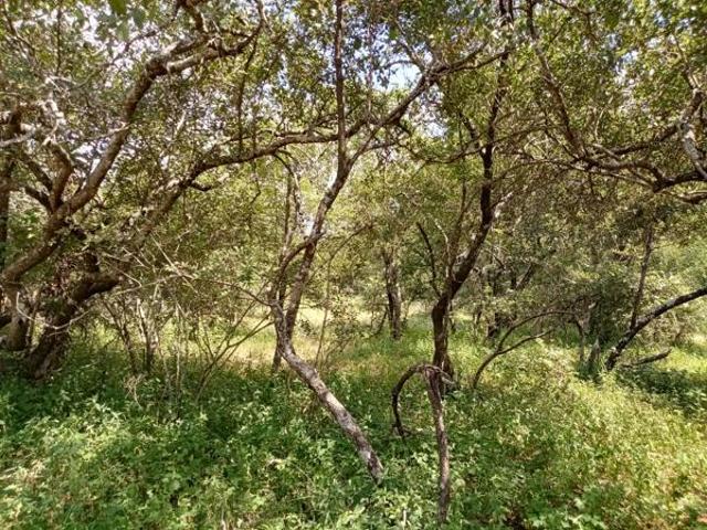 Property for sale in Ehlanzeni, Mpumalanga