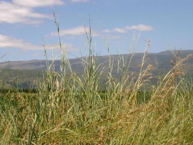 Property for sale in Ehlanzeni, Mpumalanga