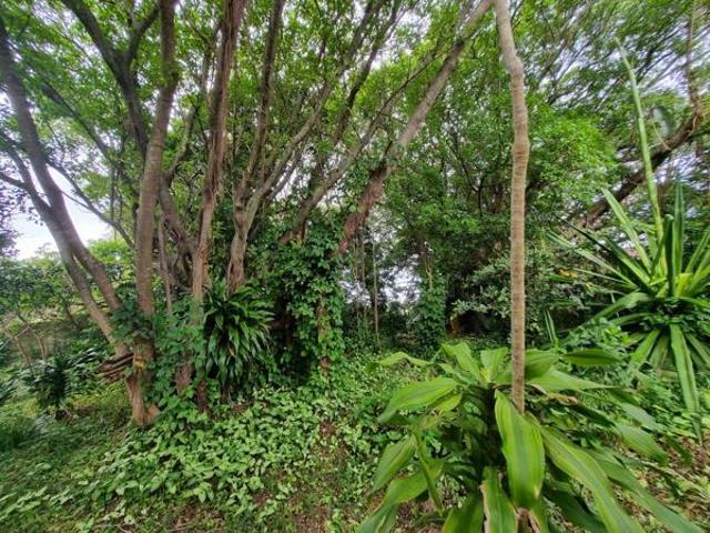 Property for sale in Ugu District Municipality, Kwazulu-natal
