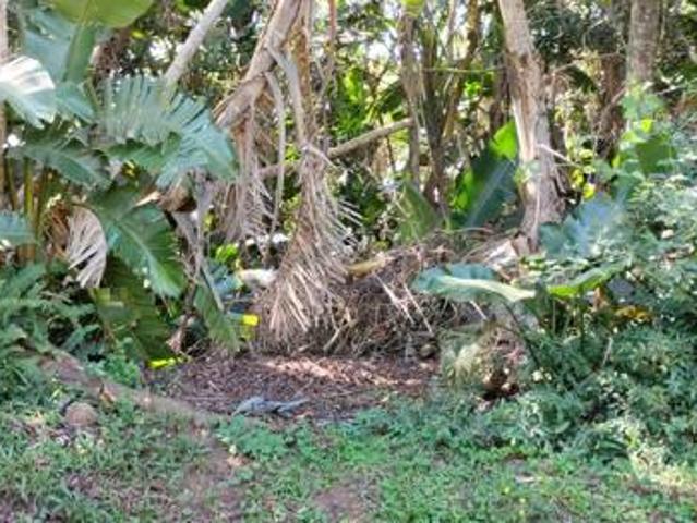 Property for sale in Ugu District Municipality, Kwazulu-natal