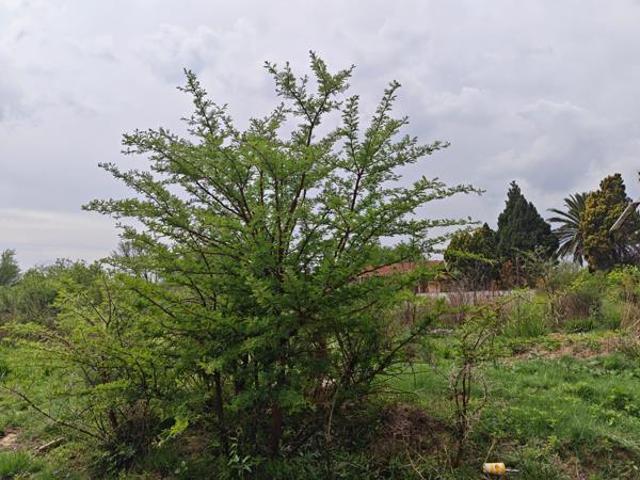 Property for sale in Dr Kenneth Kaunda, North West