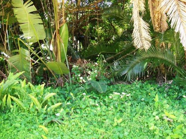 Property for sale in Ugu District Municipality, Kwazulu-natal