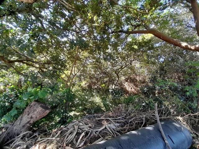 Property for sale in Ugu District Municipality, Kwazulu-natal