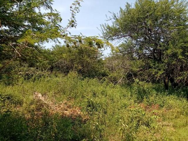 Property for sale in Ehlanzeni, Mpumalanga