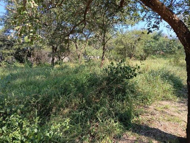 Property for sale in Ehlanzeni, Mpumalanga