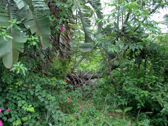 Property for sale in Princess Grant, Kwazulu-natal
