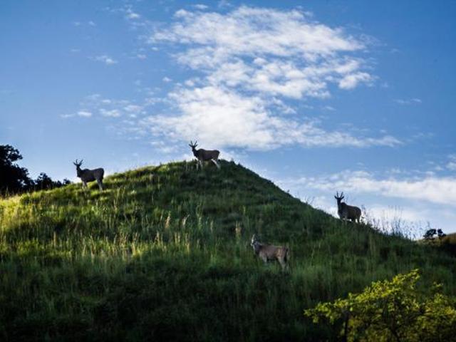 Property for sale in Drakensberg, Kwazulu-natal