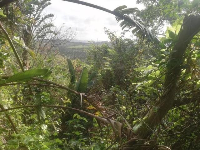 Property for sale in Hibberdene, Hibiscus Coast Local Municipality