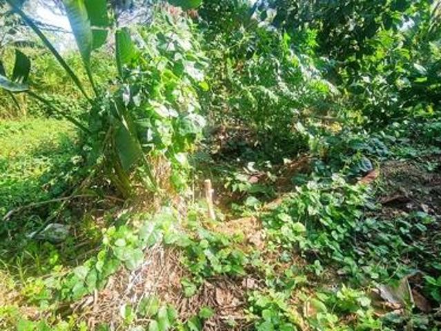 Property for sale in Ugu District Municipality, Kwazulu-natal