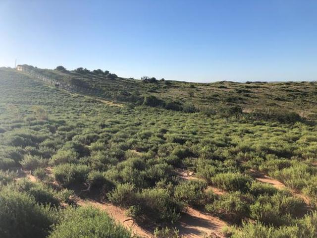 Property for sale in Princess Grant, Kwazulu-natal