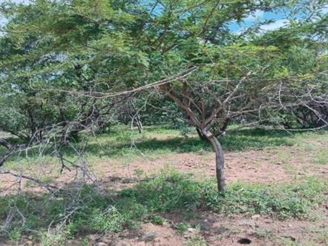 Property for sale in Ehlanzeni, Mpumalanga