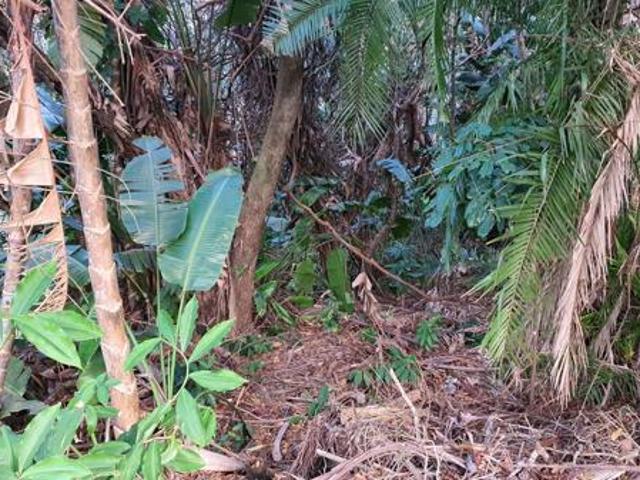 Property for sale in Ugu District Municipality, Kwazulu-natal