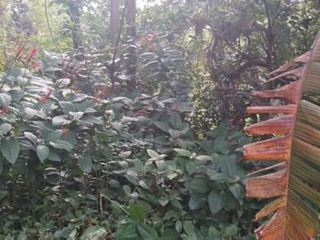 Property for sale in Ugu District Municipality, Kwazulu-natal