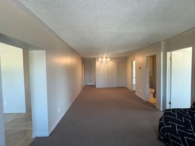 House for rent in Meaford, Southwestern Ontario