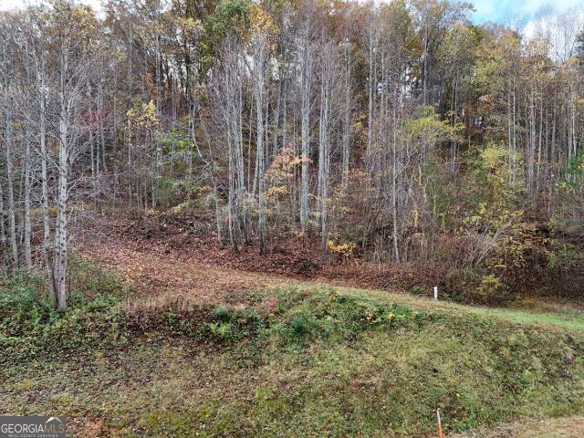 Commercial for sale in Hiawassee