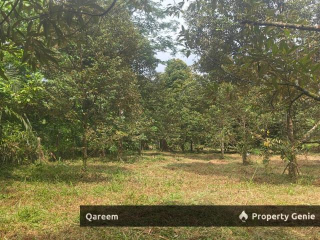 Property for sale in Kalumpang, Selangor
