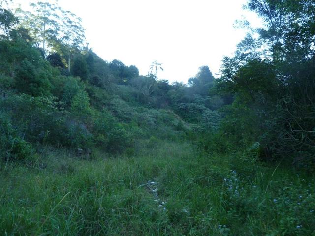 Land for sale in Durban