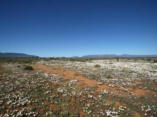 Land for sale in Hantam, Northern Cape