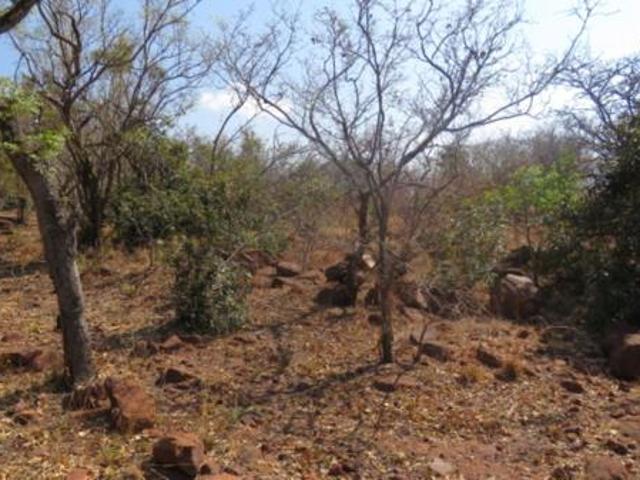 Land for sale in Limpopo