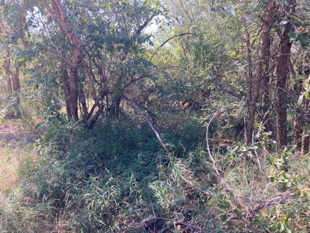 Land for sale in Mopani, Limpopo