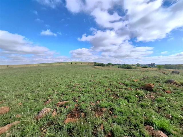 Land for sale in Rosendal, Free State