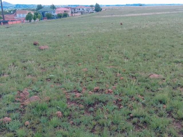 Land for sale in Rosendal, Free State