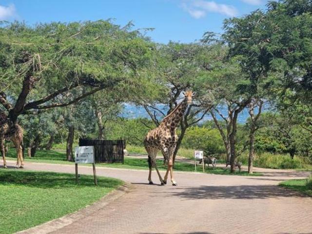 Land for sale in Ehlanzeni, Mpumalanga
