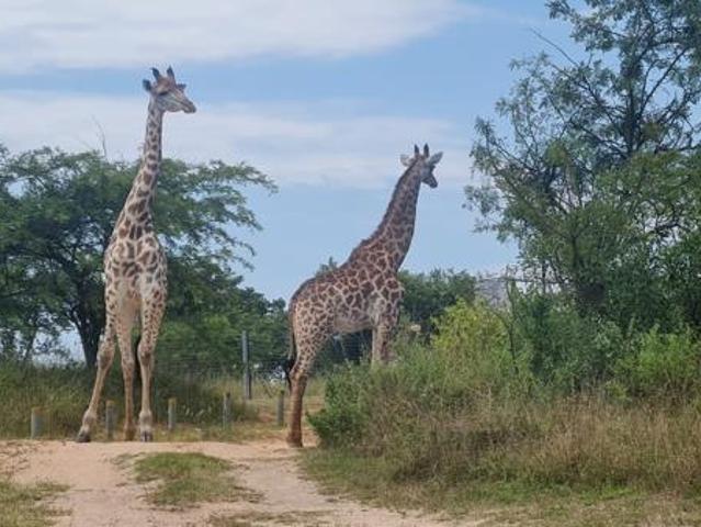 Land for sale in Ehlanzeni, Mpumalanga