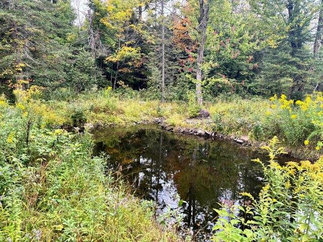 Land for sale in Lewis County, New York