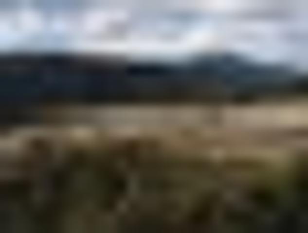 Land for sale in Pauatahanui, Wellington