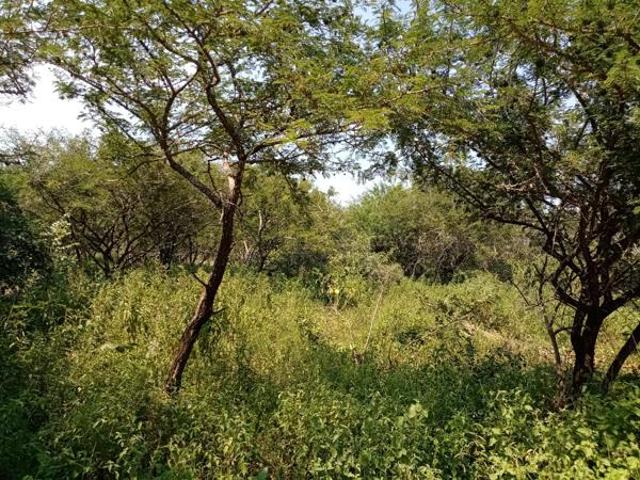 Property for sale in Ehlanzeni, Mpumalanga