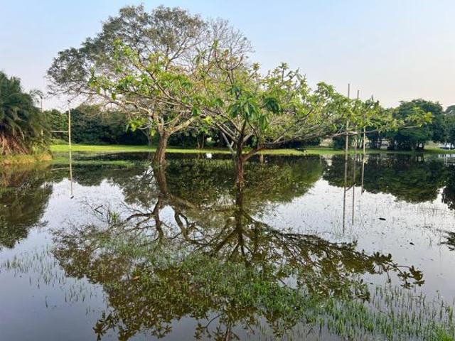 Property for sale in Mtunzini, Kwazulu-natal