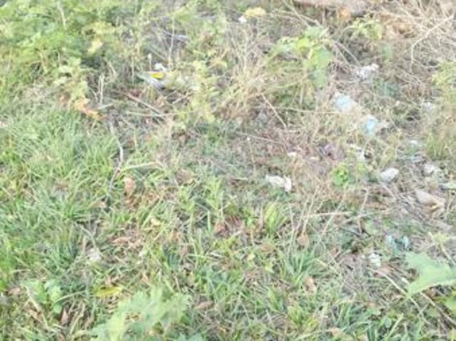 Property for sale in UMhlathuze Municipality, Kwazulu-natal