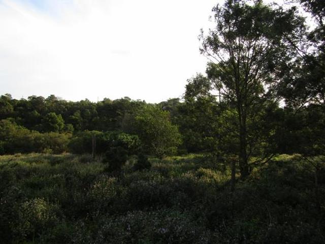 Property for sale in Cape St Francis, Eastern Cape