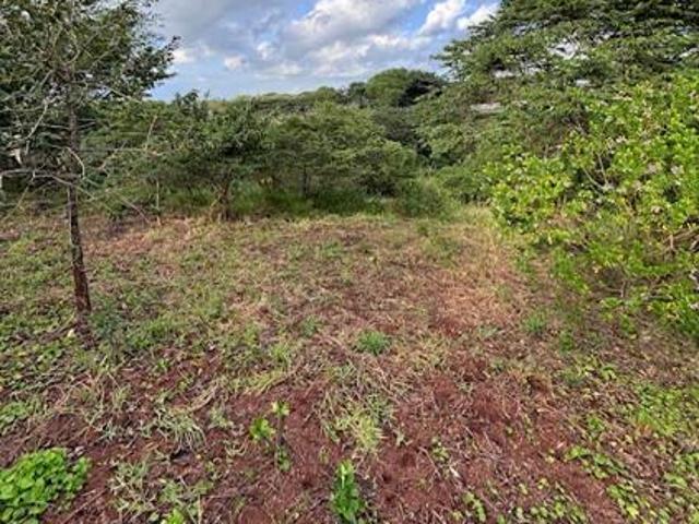 Property for sale in Mtunzini, Kwazulu-natal