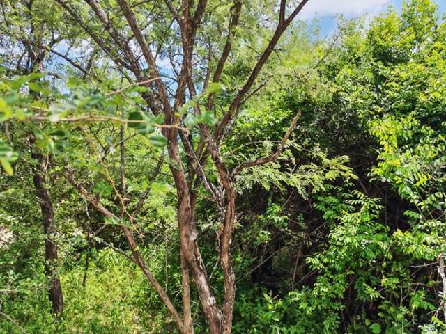 Property for sale in Ehlanzeni, Mpumalanga