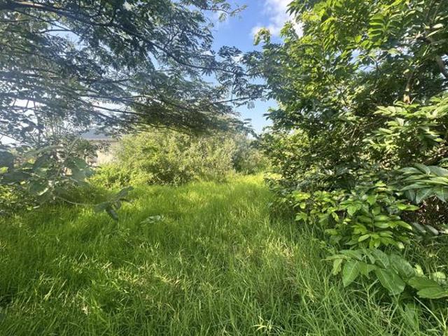 Property for sale in Mtunzini, Kwazulu-natal