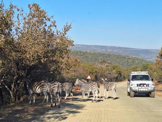 Property for sale in Mpumalanga