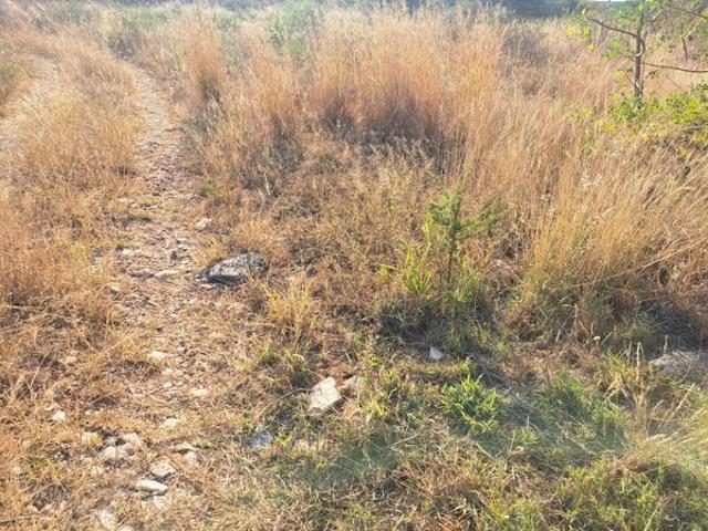 Property for sale in Seshego, Limpopo